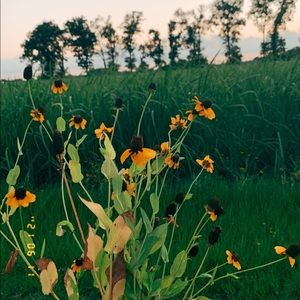 Meet your Posher, Gabrielle